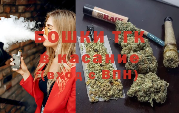 индика Баксан