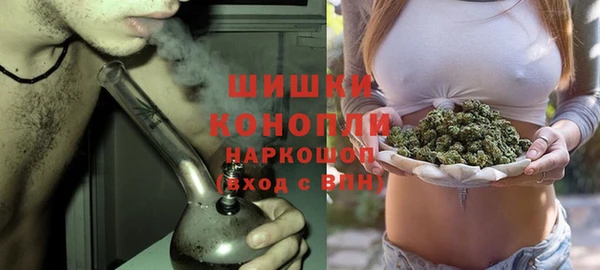 молекула духа Аркадак