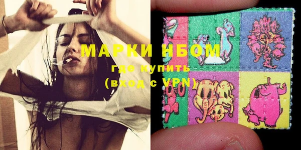 индика Баксан