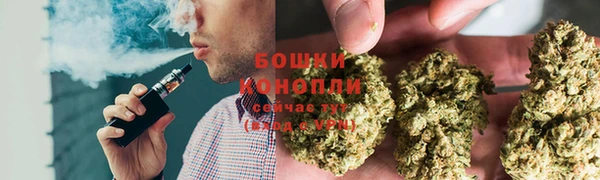 бошки Балахна