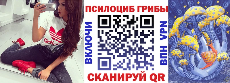 Галлюциногенные грибы Psilocybe  Навашино 