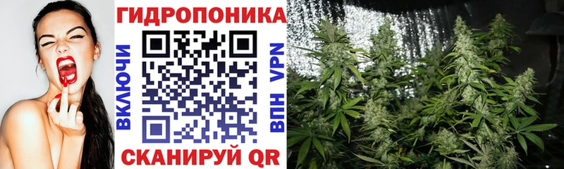 Канабис план Навашино